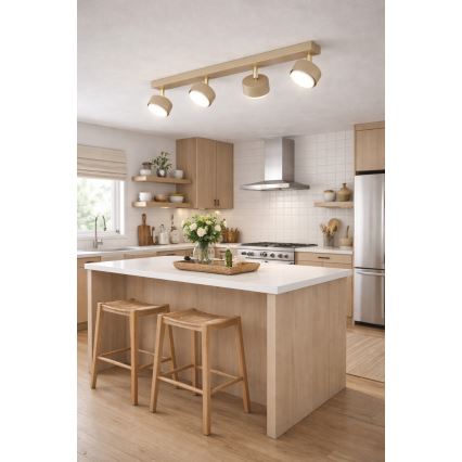 Brilagi - Suunavalgusti MONO 4xGX53/12W/230V beež