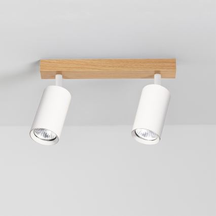 Brilagi - suunavalgusti SELE 2xGU10/30W/230V valge/tamme dekor