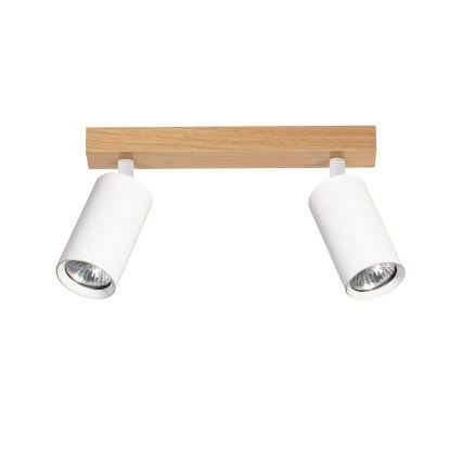 Brilagi - suunavalgusti SELE 2xGU10/30W/230V valge/tamme dekor