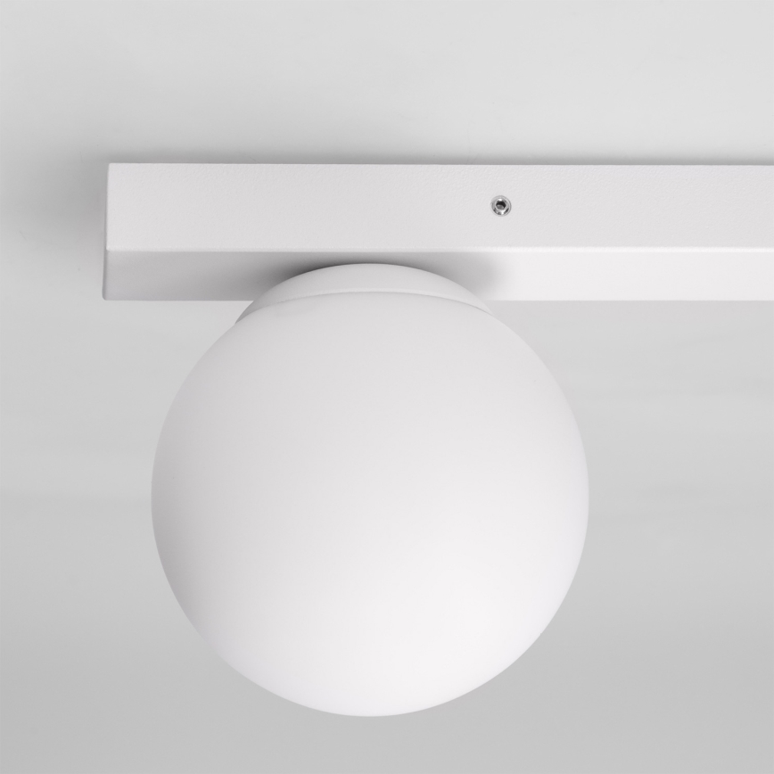 Brilagi - suunavalgusti SELE BALL 1xGU10/30W/230V + 1xG9/10W valge