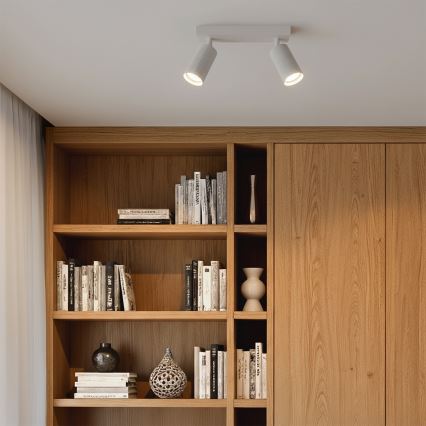 Brilagi - suunavalgusti SELE MODERN 2xGU10/30W/230V valge