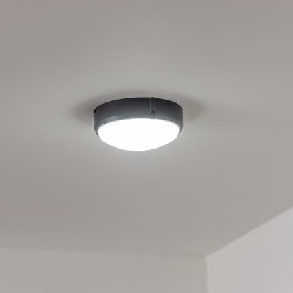 Brilagi - Tööstuslik LED laevalgusti SIMA LED/12W/230V IP65 must