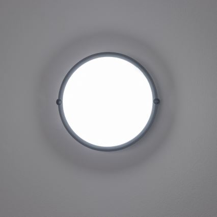 Brilagi - Tööstuslik LED laevalgusti SIMA LED/12W/230V IP65 must