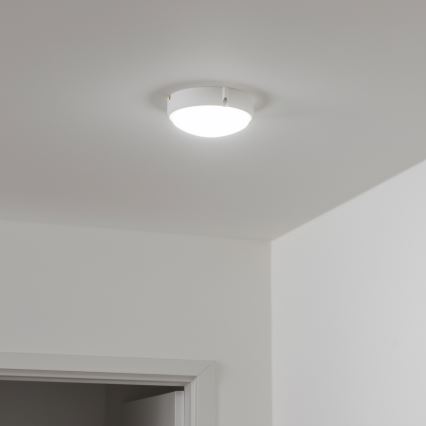 Brilagi - Tööstuslik LED laevalgusti SIMA LED/12W/230V IP65 valge
