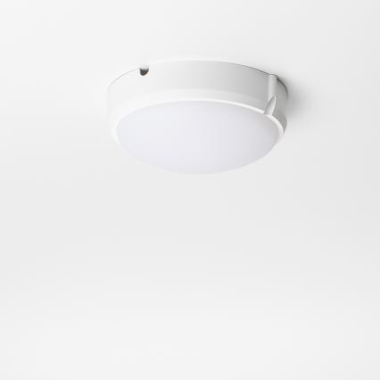 Brilagi - Tööstuslik LED laevalgusti SIMA LED/12W/230V IP65 valge