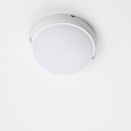 Brilagi - Tööstuslik LED laevalgusti SIMA LED/12W/230V IP65 valge