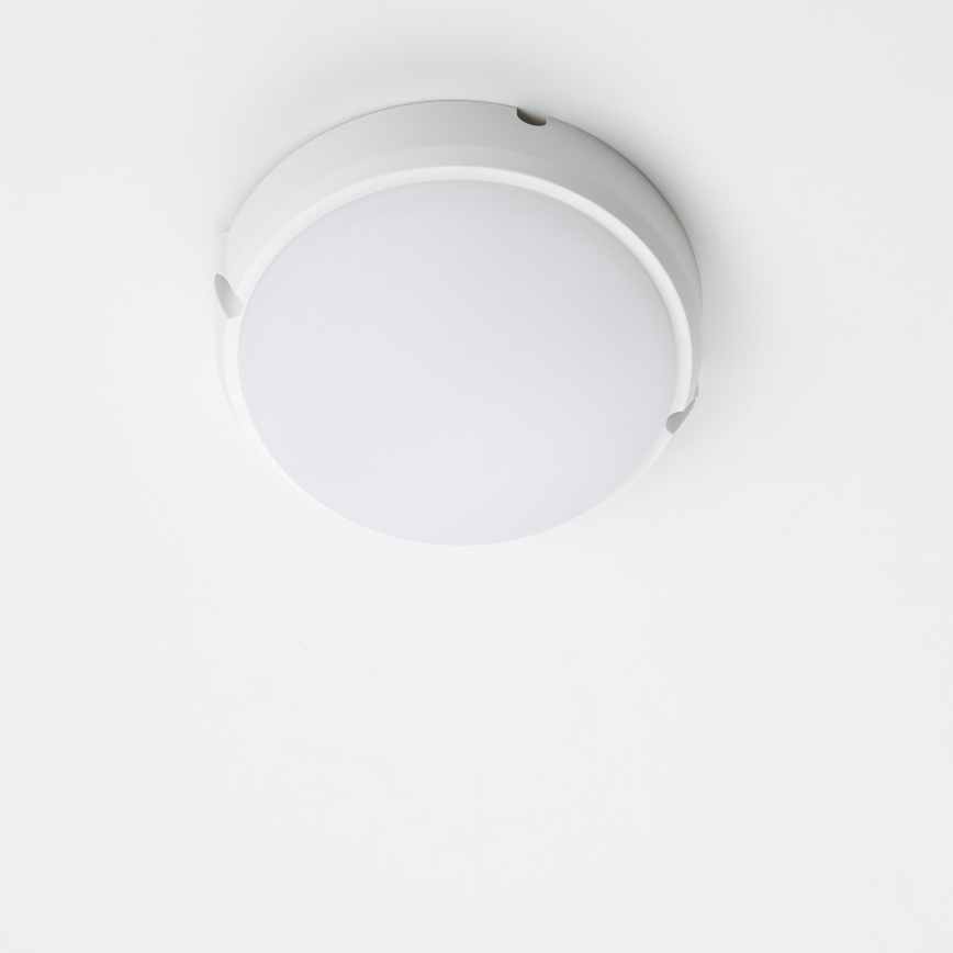 Brilagi - Tööstuslik LED laevalgusti SIMA LED/12W/230V IP65 valge