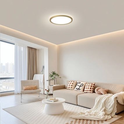 Brilagi - ULTRA SLIM LED-vannitoa laevalgusti, LED/12W/230V, Ø 22,5 cm, kuldne, IP54