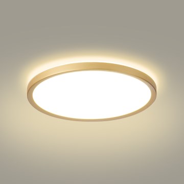 Brilagi - Üliõhuke vannitoa LED-laelamp 24W/230V, läbimõõt 42 cm, kuldne, IP54
