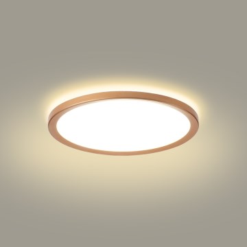 Brilagi - ULTRA SLIM LED vannitoa laelamp 18W/230V Ø 30 cm roosakuldne IP54