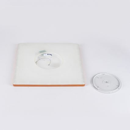 Brilagi - ULTRA SLIM LED-vannitoa laelamp 24W/230V 42x42 cm roosakuldne IP54