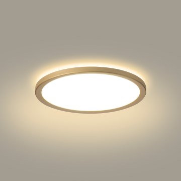 Brilagi - ULTRA SLIM LED-vannitoa laevalgusti, LED/12W/230V, Ø 22,5 cm, kuldne, IP54