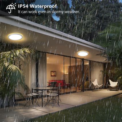 Brilagi - LED-vannitoa laevalgusti ULTRA SLIM LED/12W/230V Ø 22,5 cm hõbedane IP54