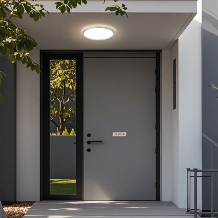 Brilagi - LED-vannitoa laevalgusti ULTRA SLIM LED/12W/230V Ø 22,5 cm hõbedane IP54