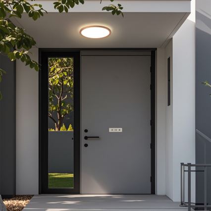 Brilagi - vannitoa laelamp ULTRA SLIM LED/12W/230V pr.22,5 cm roosakuld IP54