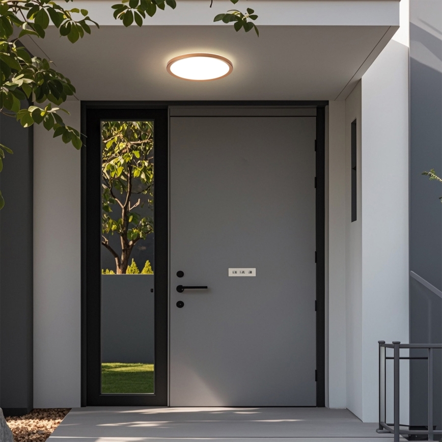 Brilagi - vannitoa laelamp ULTRA SLIM LED/12W/230V pr.22,5 cm roosakuld IP54