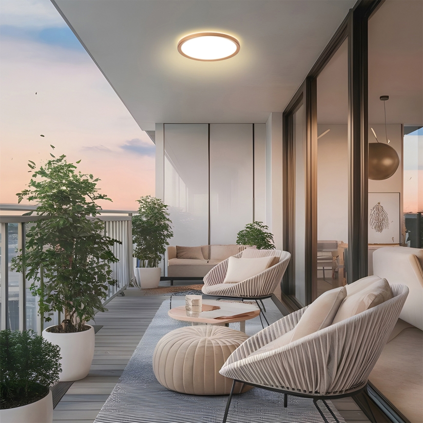 Brilagi - vannitoa laelamp ULTRA SLIM LED/12W/230V pr.22,5 cm roosakuld IP54