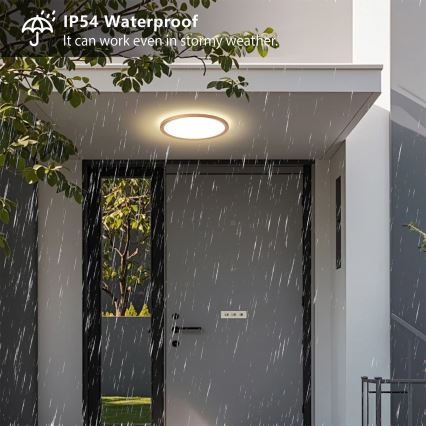 Brilagi - ULTRA SLIM LED vannitoa laelamp 18W/230V Ø 30 cm roosakuldne IP54