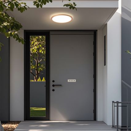 Brilagi - ULTRA SLIM LED vannitoa laelamp 18W/230V Ø 30 cm roosakuldne IP54