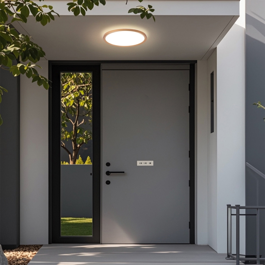 Brilagi - ULTRA SLIM LED vannitoa laelamp 18W/230V Ø 30 cm roosakuldne IP54