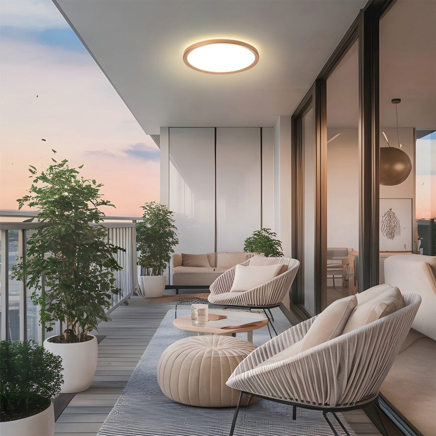 Brilagi - ULTRA SLIM LED vannitoa laelamp 18W/230V Ø 30 cm roosakuldne IP54