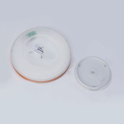 Brilagi - ULTRA SLIM LED vannitoa laelamp 18W/230V Ø 30 cm roosakuldne IP54