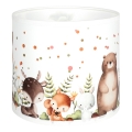 BRILAGI - universaalne lambivari BOBO E27, läbimõõduga 15 cm, valge/loomamustriga