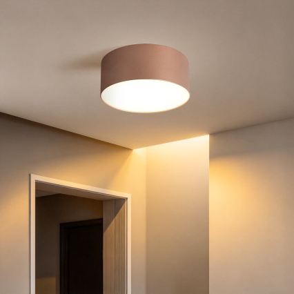 BRILAGI - Välislaevalgusti FORIS LED/20W/230V läbimõõt 15 cm pronksivärvi IP44