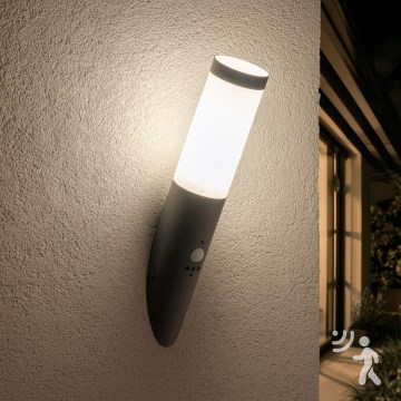 BRILAGI - Välisseinale mõeldud seinavalgusti liikumisanduriga ELIA 1xE27/20W/230V IP44 antratsiit