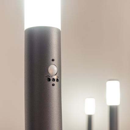 BRILAGI - Välisvalgusti anduriga ELIA 1xE27/20W/230V IP44 50 cm antratsiit