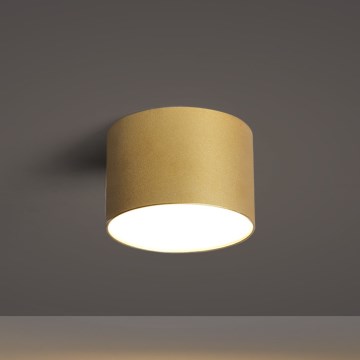 BRILAGI - Väljas kasutatav laevalgusti FORIS LED/9W/230V, läbimõõt 9 cm, kuldne, IP44
