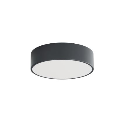 Brilagi - Vannitoa laevalgusti CLARE 2xE27/24W/230V läbimõõt 30 cm antratsiit IP54