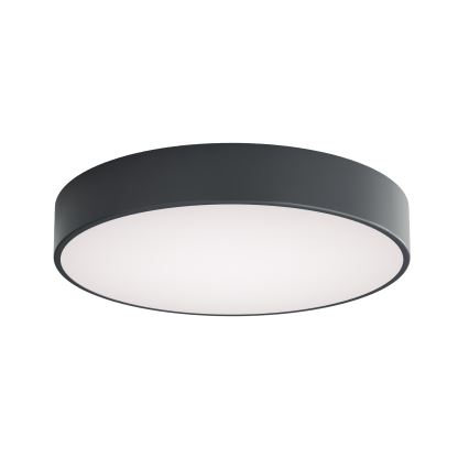 Brilagi - Vannitoa laelamp CLARE 4xE27/24W/230V Ø 50 cm antratsiit IP54