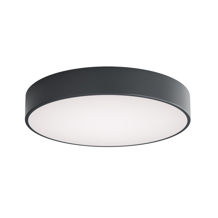 Brilagi - Vannitoa laelamp CLARE 4xE27/24W/230V Ø 50 cm antratsiit IP54