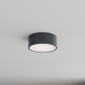 Brilagi - vannitoa laelamp CLARE liikumis- ja hämarusanduriga, 1x E27/24W/230V, läbimõõt 20 cm, antratsiit, IP54
