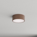 Brilagi - Vannitoa laelamp CLARE liikumis- ja hämarustuvastusega 1xE27/24W/230V läbimõõt 20 cm pruun IP54