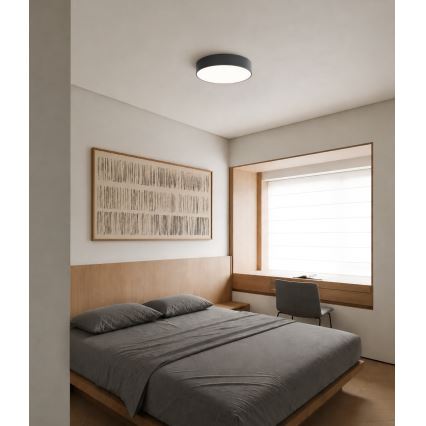 Brilagi - Vannitoa laelamp CLARE 3xE27/24W/230V, läbimõõt 40 cm, antratsiit, IP54