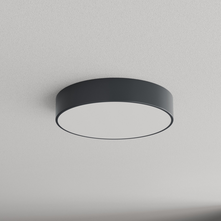 Brilagi - Vannitoa laelamp CLARE 3xE27/24W/230V, läbimõõt 40 cm, antratsiit, IP54