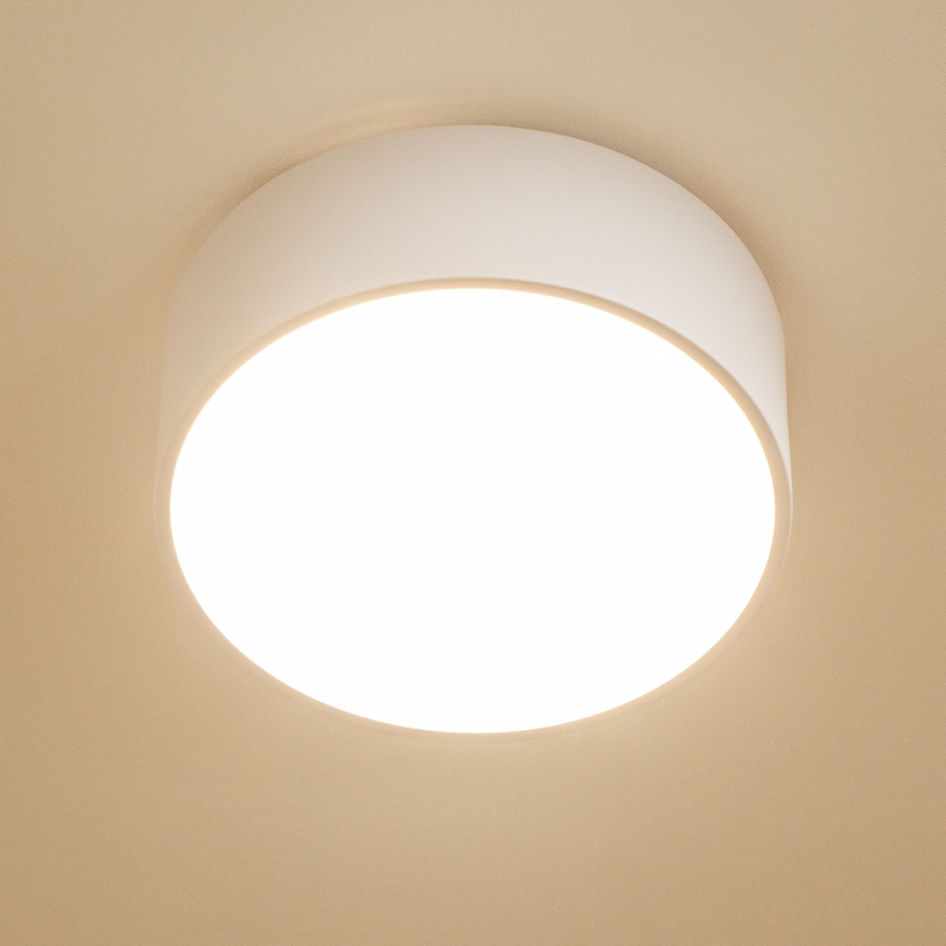 Brilagi - Vannitoa laevalgusti POOL 2xE27/15W/230V läbimõõt 30 cm IP54 valge