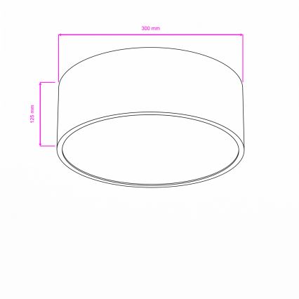 Brilagi - Vannitoa laevalgusti POOL 2xE27/15W/230V läbimõõt 30 cm IP54 valge
