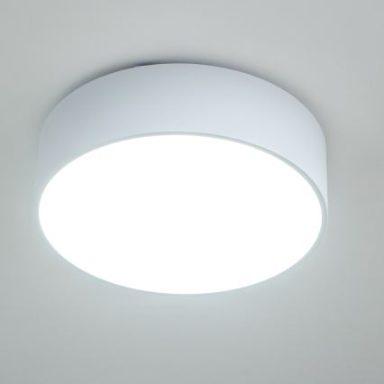 Brilagi - Vannitoa laevalgusti POOL 3xE27/15W/230V läbimõõt 40 cm IP54 valge
