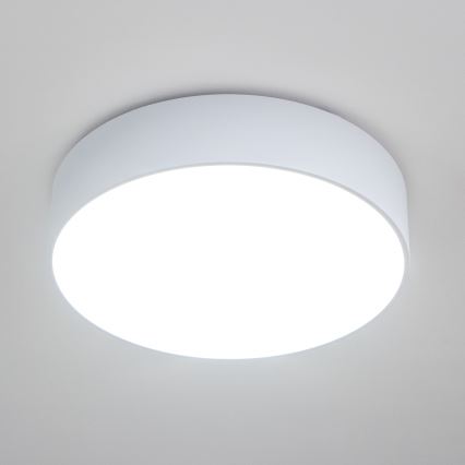 Brilagi - Vannitoa laevalgusti POOL 4xE27/15W/230V läbimõõt 50 cm IP54 valge