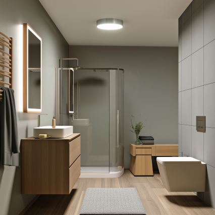 Brilagi - LED-vannitoa laelamp POOL LED/24W/230V 3000/4000/5500K läbimõõt 30 cm IP54 mattkroom