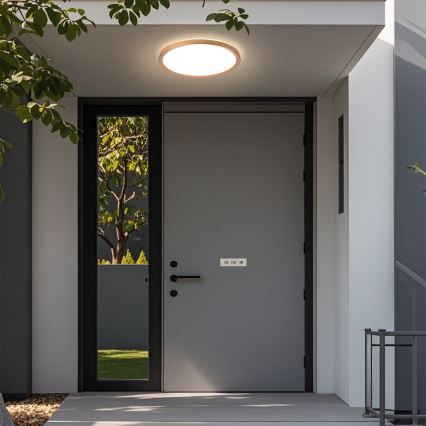 Brilagi - LED-vannitoa laelamp ULTRA SLIM LED/24W/230V Ø 42 cm roosakuld IP54