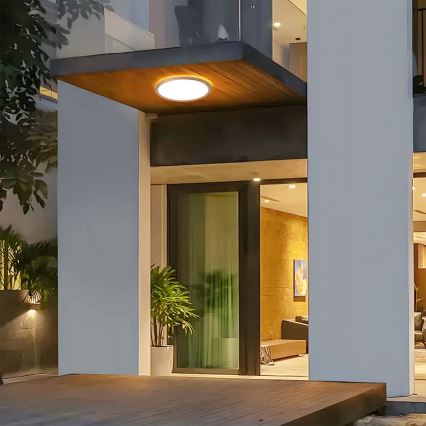 Brilagi - LED-vannitoa laelamp ULTRA SLIM LED/24W/230V Ø 42 cm roosakuld IP54