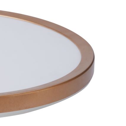 Brilagi - LED-vannitoa laelamp ULTRA SLIM LED/24W/230V Ø 42 cm roosakuld IP54