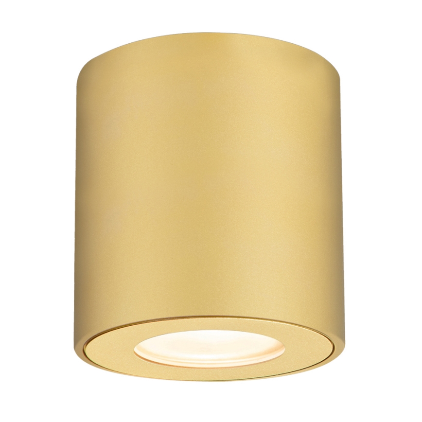 Brilagi - Vannitoa suunatav valgusti MIA 1xGU10/30W/230V 84x80 mm kuldne IP54