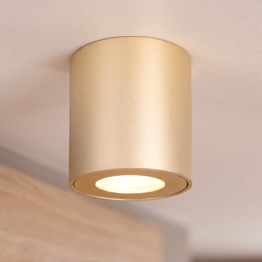 BRILAGI - Vannitoa suunatav valgusti MIA 1xGU10/30W/230V 84x80 mm kuldne IP54