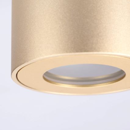 BRILAGI - Vannitoa suunatav valgusti MIA 1xGU10/30W/230V 84x80 mm kuldne IP54