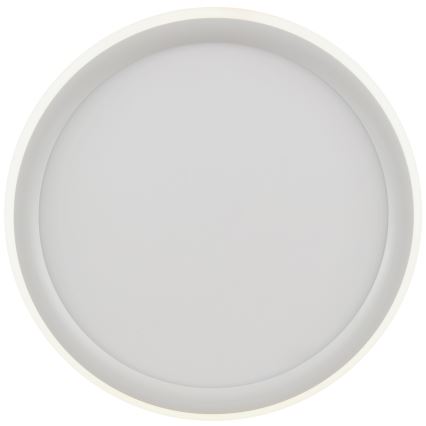 Brilliant - hämardatav LED-laelamp CARLOZ LED/16W/230V läbimõõt 30 cm valge